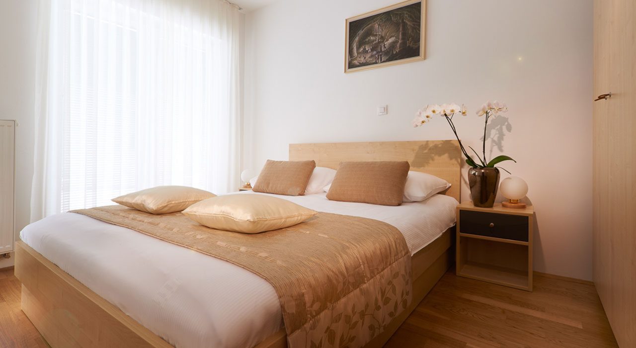 Postojna Cave Rooms and Apartments Proteus 3